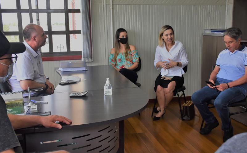Em reunião com a Presidente do Mulher Patriota, vereadores debatem causa das mulheres e dos animais